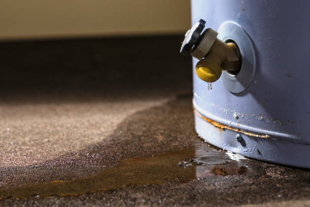 Best 24/7 water damage repair  in Choctaw Lake, OH