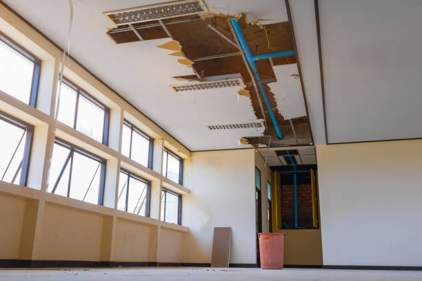 Best Ceiling water damage repair  in Choctaw Lake, OH