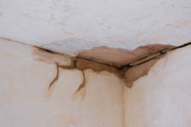 Best Flood damage cleanup  in Choctaw Lake, OH