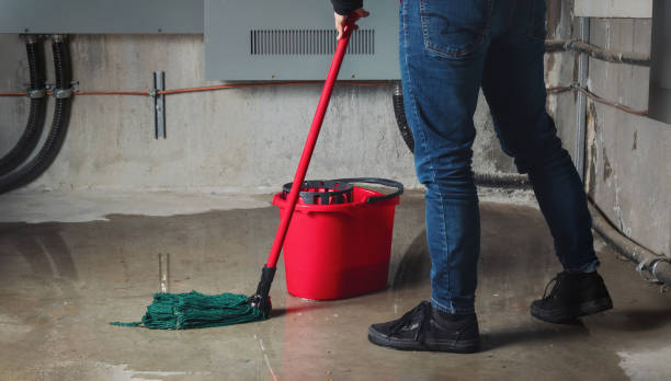 Best Water damage cleanup near me  in Choctaw Lake, OH