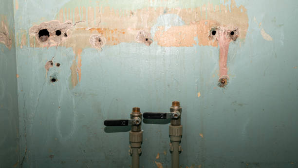 Best Mold removal after water damage  in Choctaw Lake, OH