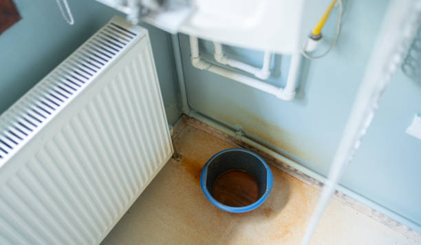 Best Basement water damage restoration  in Choctaw Lake, OH