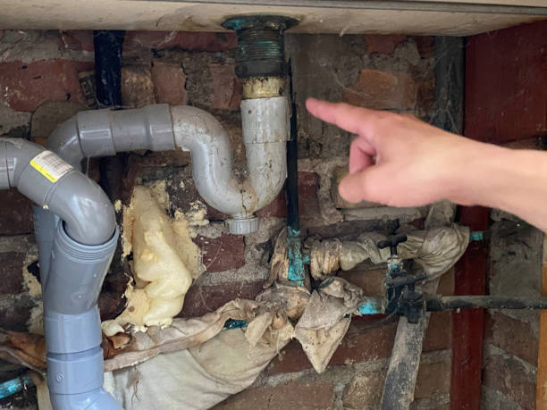 Best Sewage cleanup and water damage restoration  in Choctaw Lake, OH