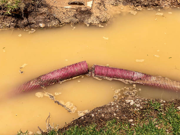 Best Fire Damage Restoration  in Choctaw Lake, OH