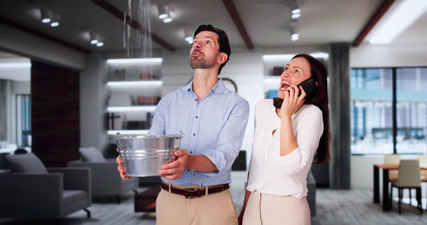 Best Water damage restoration mold remediation  in Choctaw Lake, OH